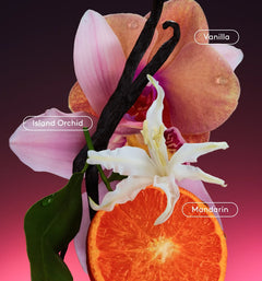 Daily Refresh Set C7