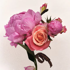 Scent Layering Trio G0